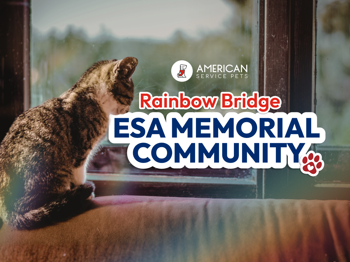 American Service Pets Launches Rainbow Bridge Memorial Community for Emotional Support Animals and Service Animals