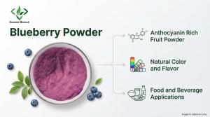 Demeter Biotech Blueberry Powder product efficacy infographic