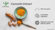 Standardized Curcumin Extract Manufacturer Meets High Dissolution Demands with ISO22000