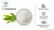 Synthetic vs Natural Sourcing: Insights from a Top 10 L-Theanine Ingredient Supplier from China