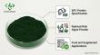 China Top Pure Spirulina Powder Factory Demeterherb Elevating Global Supply with HACCP and HALAL