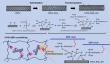 Multi-scale hybridization and chemical bonding enable ultra-durable flexible strain sensors