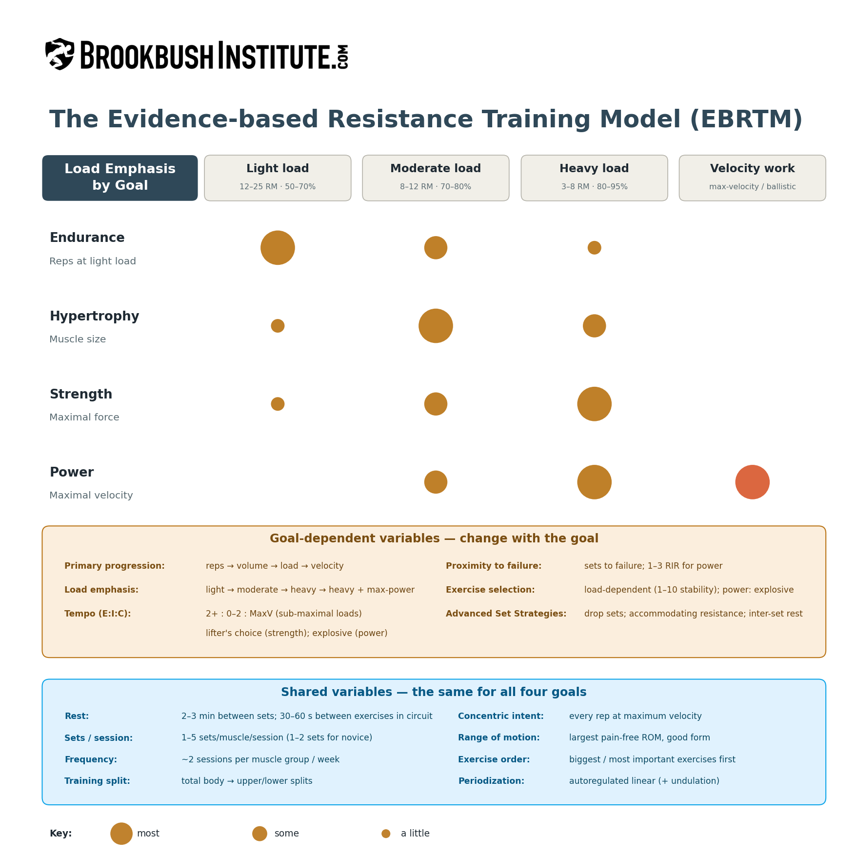 The Brookbush Institute Publishes a NEW Course: ‘Evidence-based Resistance Training Model (EBRTM)’