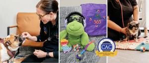Three images: a woman feeding a dog, a frog toy with accessories and a Certified Autism Center badge, and a person holding a cat.