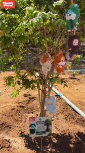 Pelúcia STAR BABY pendurada em galho ao lado de muda recém-plantada