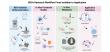 Tiny bacterial vesicles could help shape precision cancer treatment