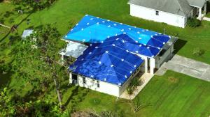 Insurance Lawyer Florida and SC