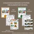 Katmai Stories Launches Free Wildlife Safety, National Parks, and Fat Bear Week Educational Resources for Classrooms