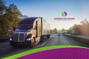 The 2026 State of the DOT SAP Return-to-Duty Process by American River Wellness.