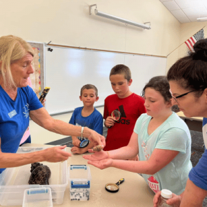 A teacher shows a small object to three children and another adult in a classroom setting, engaging them in a hands-on activity.