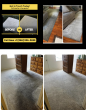 Local Cleaning Services Brings Professional Carpet and Upholstery Care Across Los Angeles and Orange Counties