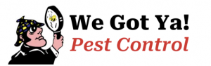 We Got Ya Pest Control