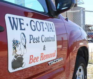 Company Truck
