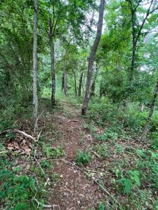 Approved 8-lot residential subdivision featuring eight (8) prepaid public water & sewer tap fees (estimated replacement value of approximately $312,000). -- Significant engineering, planning, utility and development work has already been completed