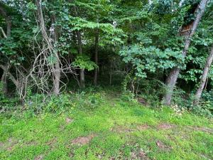 Approved 8-lot residential subdivision featuring eight (8) prepaid public water & sewer tap fees (estimated replacement value of approximately $312,000). -- Significant engineering, planning, utility and development work has already been completed