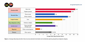 Average daily sleep duration (hours) across selected mammalian and vertebrate species grouped by ecological category.