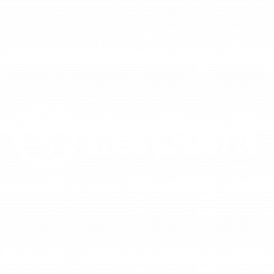 TierPoint, a leading provider of secure, connected IT platform solutions logo