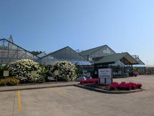 Wilson’s Garden