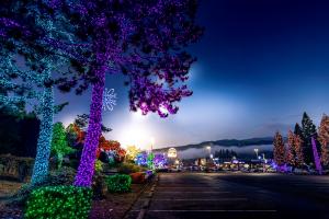 Close-up of pine tree branches wrapped in blue and purple holiday lights, with the Seven Feathers Casino Resort sign glowing in the background at dusk