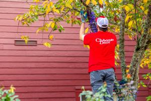 A Christmas Decor crew member in a branded red shirt installs string lights on a tree at Seven Feathers Casino Resort in Canyonville, Oregon.