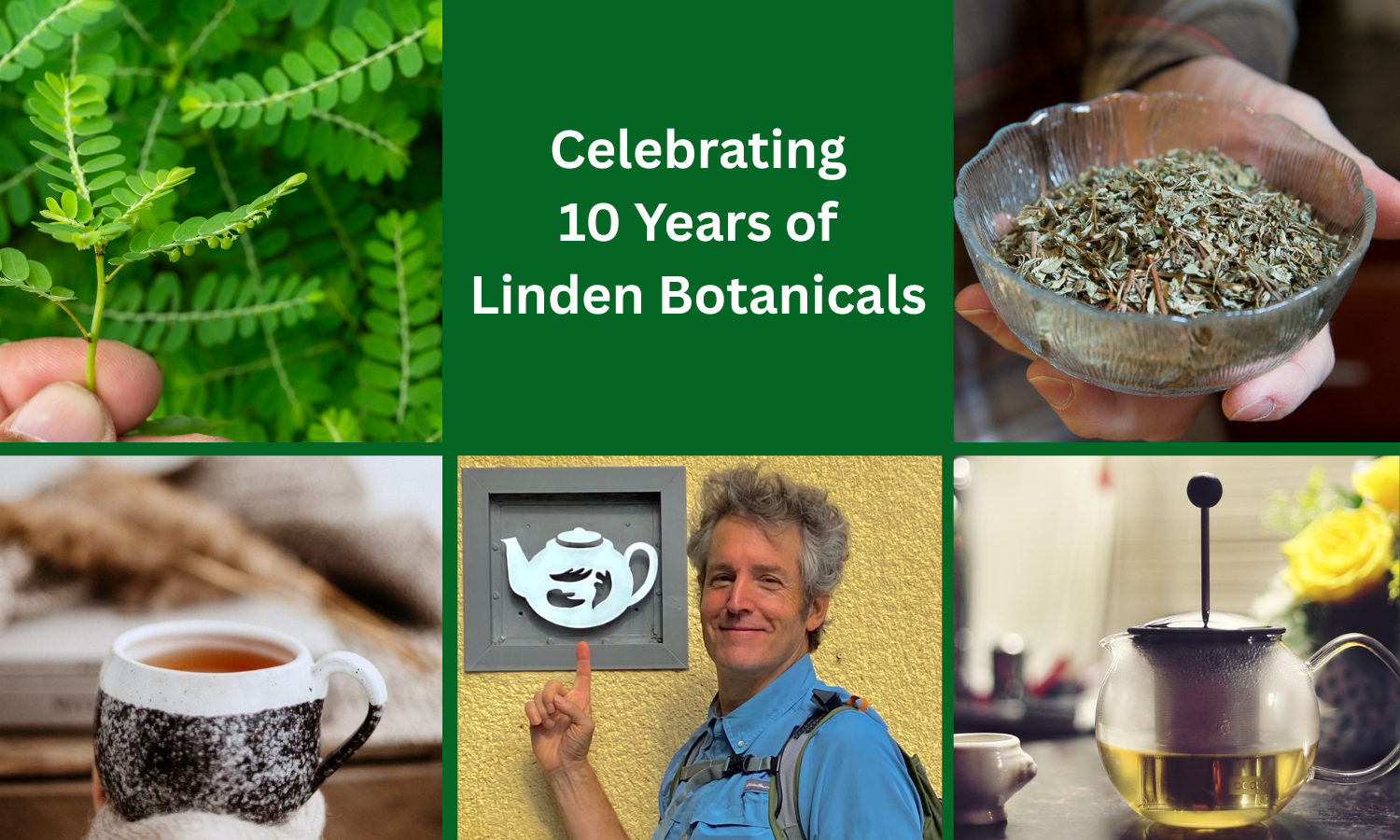Linden Botanicals Celebrates 10 Years as an Independent Botanical Company