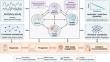Hebei Medical University Researchers Review Prolonged Disorders of Consciousness Management