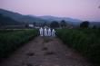 Sisters of the Valley Announce Oregon Expansion and New Cultivation Partnership