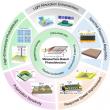 Metasurface-Enhanced Photodetectors: A Pathway to High Performance and Multifunctionality