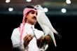 Falcon Sells for 1.3 Million Riyals at Riyadh Auction