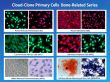 New Full Lineage Primary Bone Cells: Cloud-Clone Covers 10 Species to Streamline Bone Disorder Translational Research