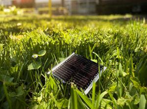 A CZTS solar cell