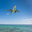 Beyond the Horizon: Paradise & Wilderness Now Offers Seamless International Flights