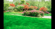 Coastal Serenity Landscapes Highlights Steps for Jacksonville Lawn Recovery