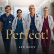 NEW FAITH-BASED MUSICAL PERFECT! RELEASED AS 28-SONG AUDIO EXPERIENCE