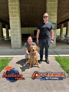Off Leash K9 Training of Dayton is highlighting its board and train options for dog owners who may be managing summer travel plans, busier household schedules, and everyday obedience challenges Dayton Dog Training