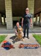 Off Leash K9 Training of Dayton Highlights Board and Train Options for Summer Travel and Busy Dog Owners