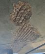 Western Specialty Contractors Completes Concrete Repairs at Sandcastle Condominiums