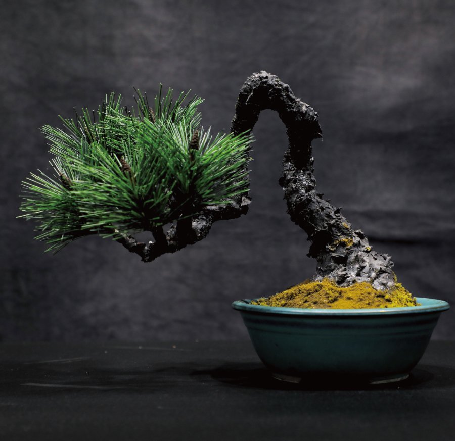 Take Home a Memory of Japanese Bonsai from Shiba Park Hotel