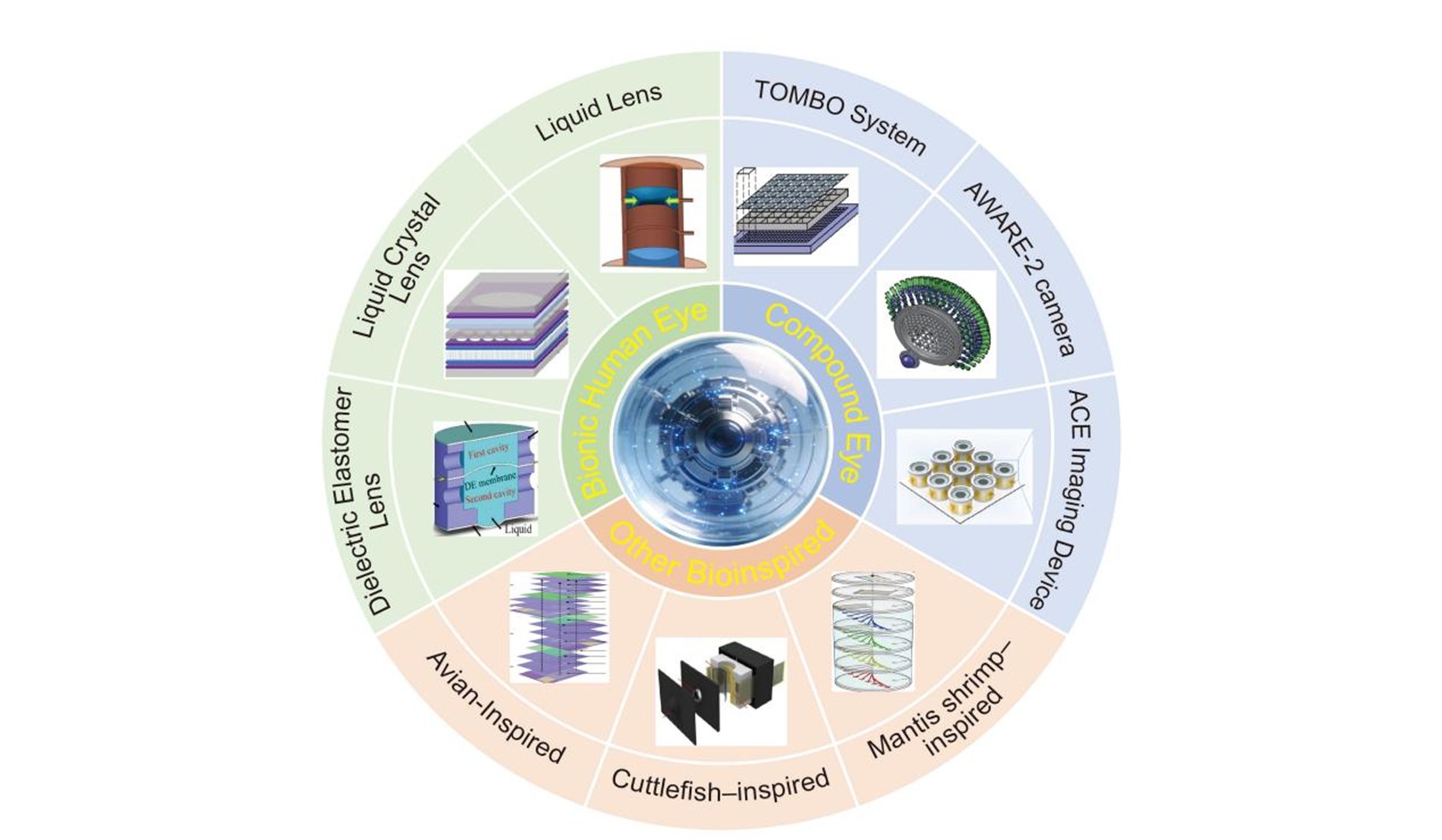 Bioinspired Adaptive Optical Imaging – Giving Machines ‘Living’ Eyes