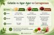 Gelatin vs Agar-Agar vs Carrageenan