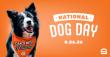 SMALLS SLIDERS ROLLS OUT THE ORANGE CARPET FOR DOGS THIS NATIONAL DOG DAY 