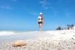 Marine life experts lead travelers on deep dive during Nov. Shell Lover's Weekend on North America's best shelling beach