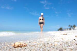 Sundial Beach Resort & Spa invites beachcombers and sea shell enthusiasts to experience the ultimate coastal escape during its Shell Lover's Weekend, Thursday-Sunday, Nov Rare and coveted sea shells like the Junonia are found on Sundial Beach Resort's shell-covered beaches.