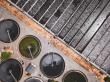 Rhinoflux and Swing Launch Sewage Sludge-to-Power and CO2 Capture PoC Trial in Japan