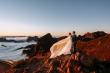From Atlantic Cliffs to Golden Sands: Outdoor Romantic Landscapes Across Madeira & Porto Santo