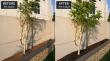 UAE Resident Helps with Greening Dubai — One Garden at a Time