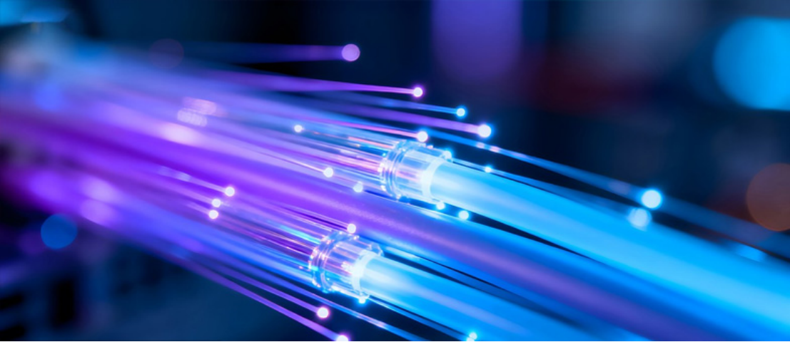 Analysis: How Fibridge Became a Global Leading Managed Ethernet Switch Exporter Delivering to Over 100 Countries