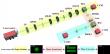 Simultaneous Dynamic Detection of Phase and Polarization Topological Charges via Optical Conformal Transformation