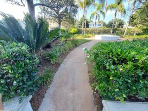 A paved walkway curving through a commercial outdoor landscape area with trimmed bushes, tropical plants, and tall palm trees in Los Angeles.