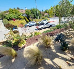 An overhead view of a sustainable commercial landscape installation featuring succulents, ornamental grasses, and wood mulch alongside a service vehicle parked on a Los Angeles street.